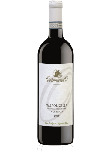 Valpolicella classico bio 2018