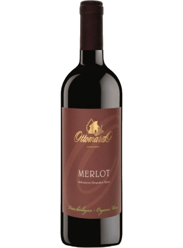 Merlot Bio 2019