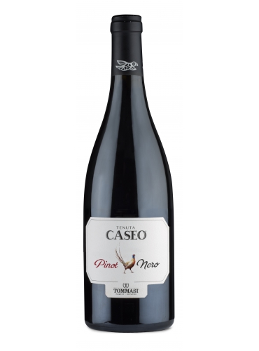Pinot nero 2017