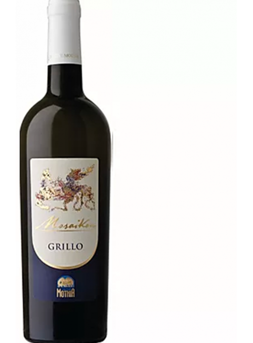 Mosaikon grillo 2021