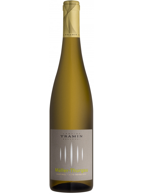 Muller Thurgau 2019