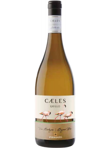 Caeles Grillo 2021